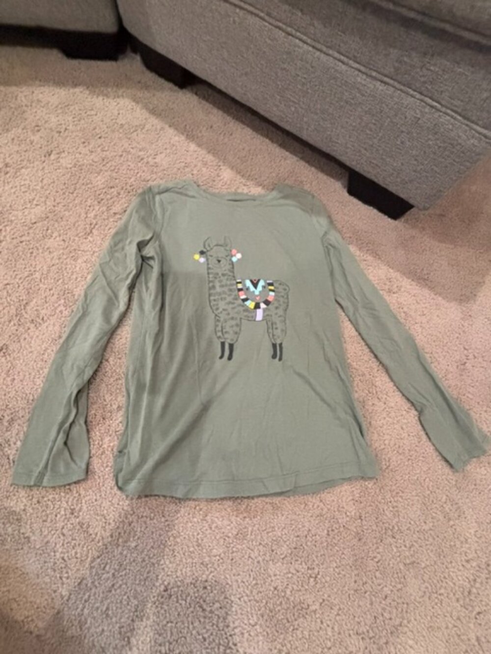 Youth Long Sleeved Llama Shirt
